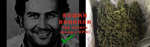 сатива Аркадак