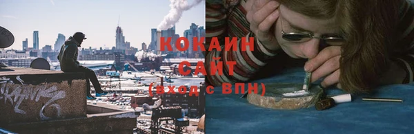 крисы Арсеньев