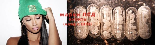 крисы Арсеньев
