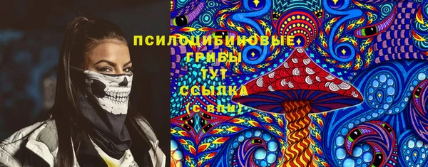 крисы Арсеньев
