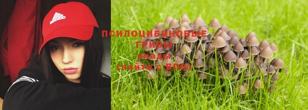 сатива Аркадак